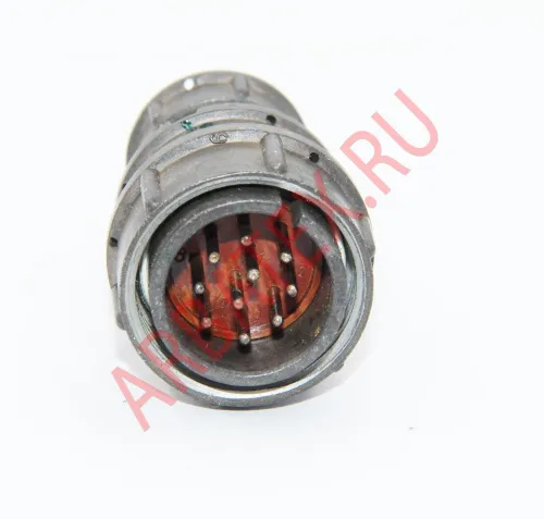 2РМД24КПЭ10Ш5В1 Разъемы 2РМ, 2РМТ, 2РМГ, 2РМДТ, ОНЦ-РГ фото фото 5